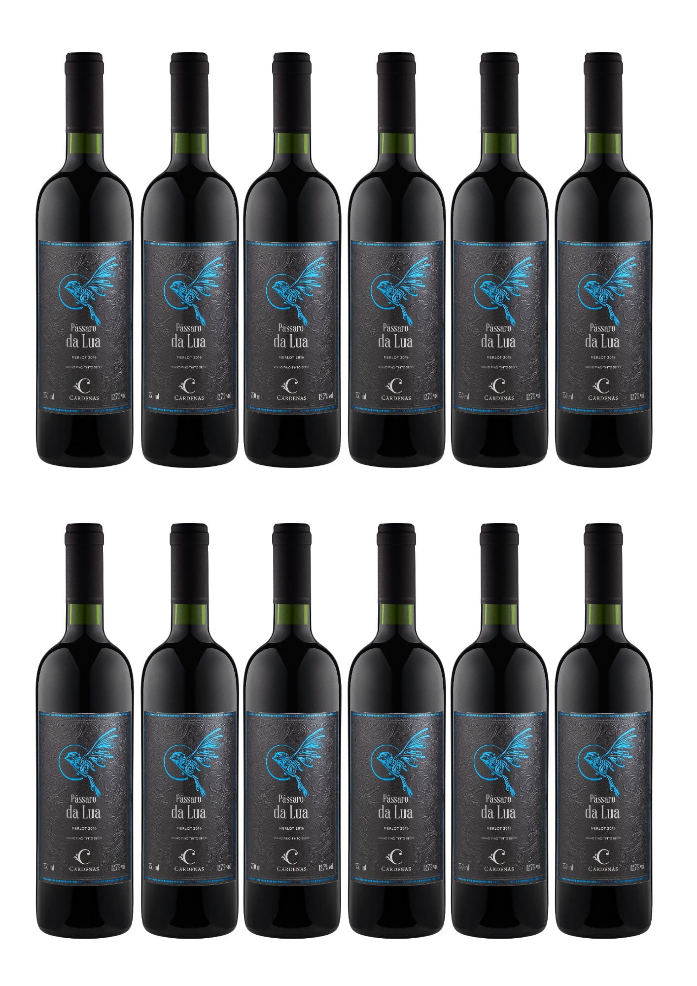 12 GRFS PÁSSARO DA LUA MERLOT 2016 (750ML)