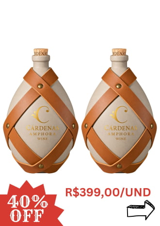 KIT 02 AMPHORAS MERLOT 2019
