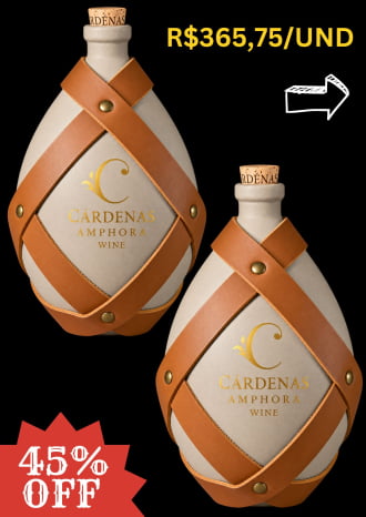 KIT 02 AMPHORAS MERLOT 2019