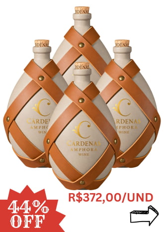 KIT 04 AMPHORAS MERLOT 2019