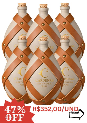KIT 06 AMPHORAS MERLOT 2019