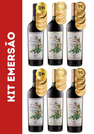 KIT EMERSÃO - 02 TANNAT 2019 + 02 SYRAH 2019 + 02 BLEND 2019