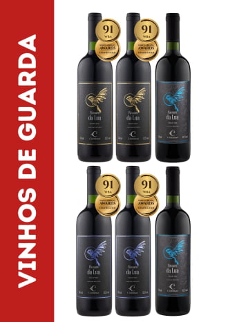 KIT PÁSSAROS - 02 MERLOT 2016 + 02 TANNAT 2017 + 02 BLEND LOTE I