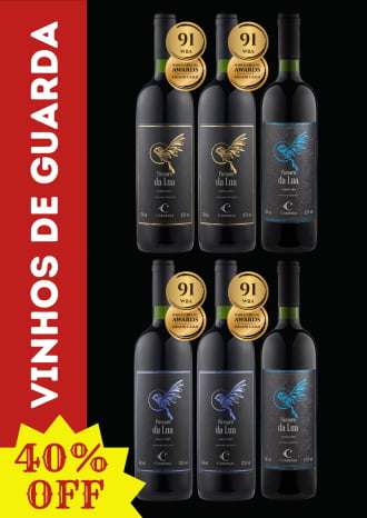 KIT PÁSSAROS - 02 MERLOT 2016 + 02 TANNAT 2017 + 02 BLEND LOTE I