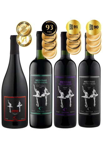 KIT 16 - CAIXA SALMÃO + 01 MV PINOT 2022 + 01 MV PETIT VERDOT 2021 + 01 MV TANNAT 2021 + 01 MV REBO 2021