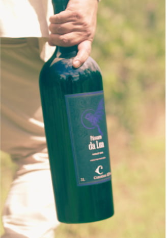 KIT 04 - PASSARO DA LUA MERLOT 2016 (3 LITROS) + CAIXA DE MADEIRA (VAZIA)