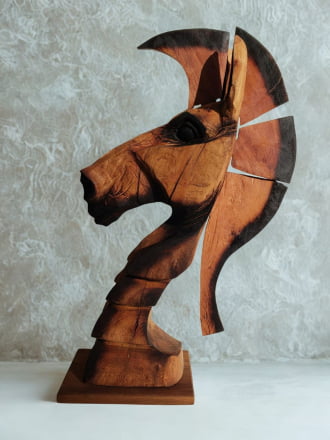 CAVALO DE FOGO CÁRDENAS